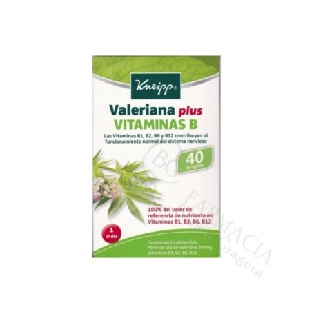 VALERIANA PLUS VITAMINA B 40 GRAGEAS