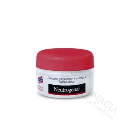 NEUTROGENA REPARACIÓN NARIZ-LABIOS 15 ML